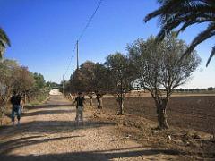 VOYAGE a ORAN du 30-06 au 6-06 2008 (390)